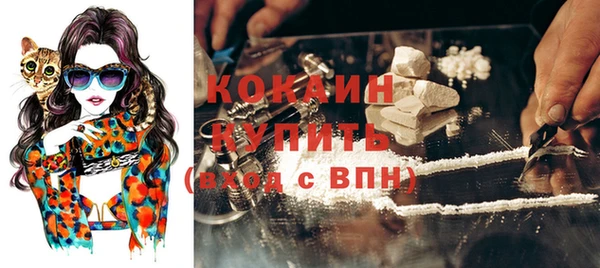 мяу мяу мука Краснослободск