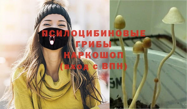 первитин Красноперекопск