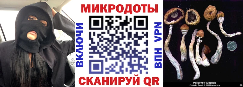 Купить где  Бодайбо  Галлюциногенные грибы мухоморы 