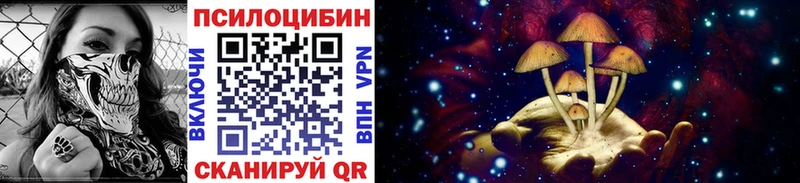 Псилоцибиновые грибы прущие грибы Бодайбо